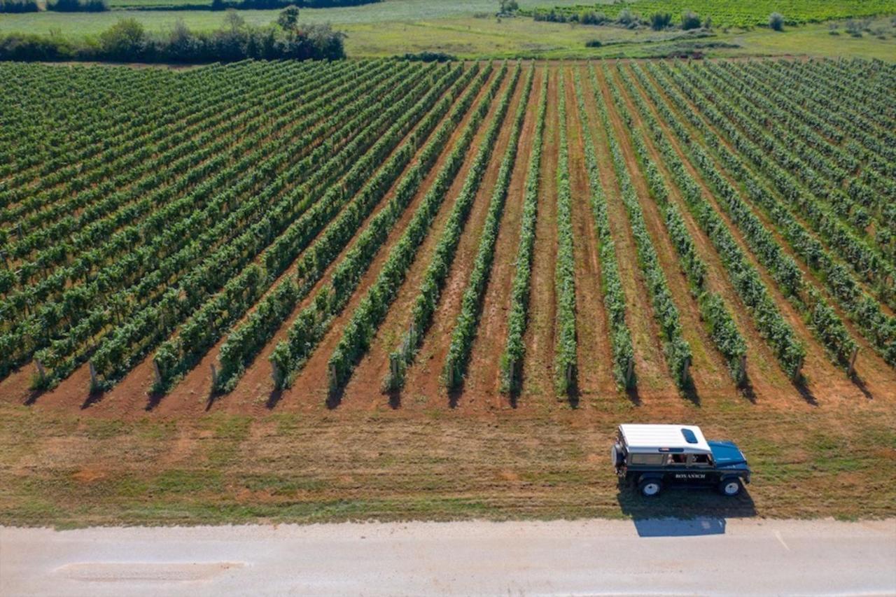 Winery & Design Hotel Roxanich Motovun Esterno foto